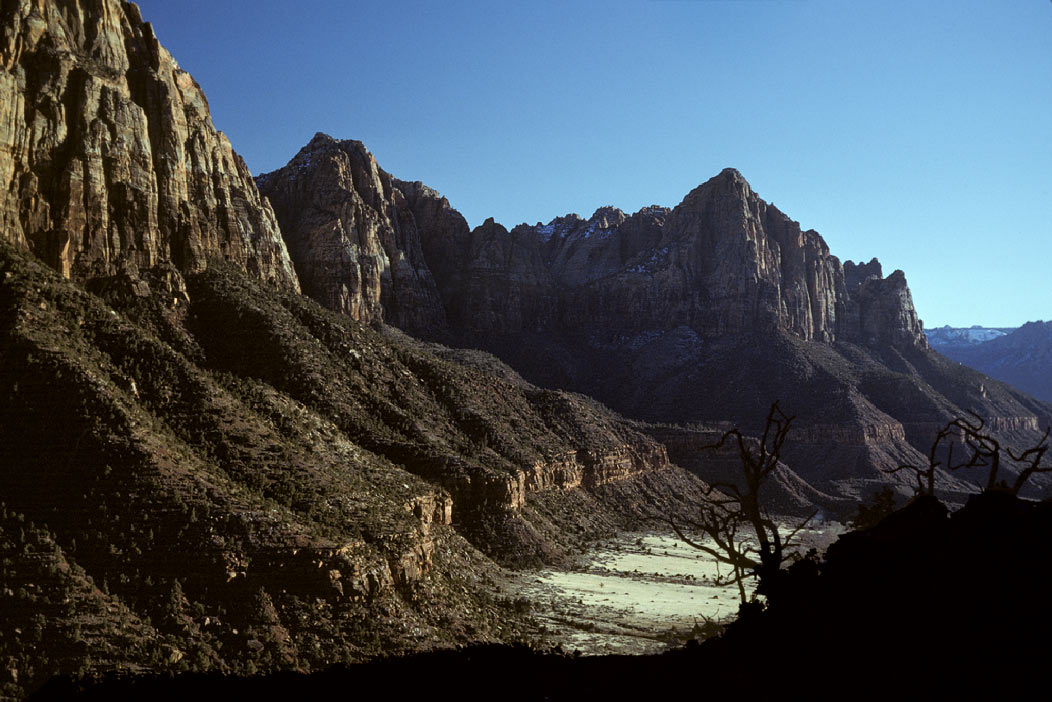 198700631 ©Tim Medley - Zion National Park, UT