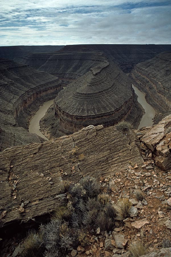 198701224 ©Tim Medley - San Juan River, Goosenecks State Park, UT