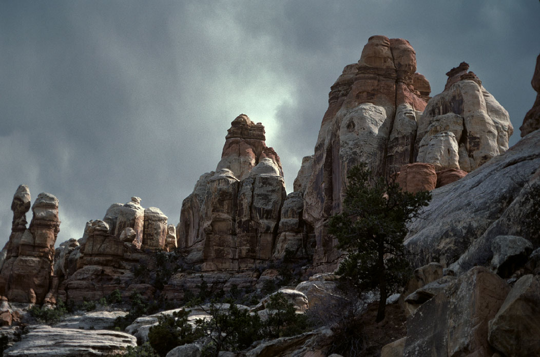 198702111 ©Tim Medley - Chesler Park, The Needles, Canyonlands National Park, UT