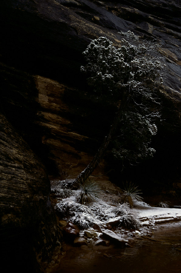 198702303 ©Tim Medley - The Needles, Canyonlands National Park, UT