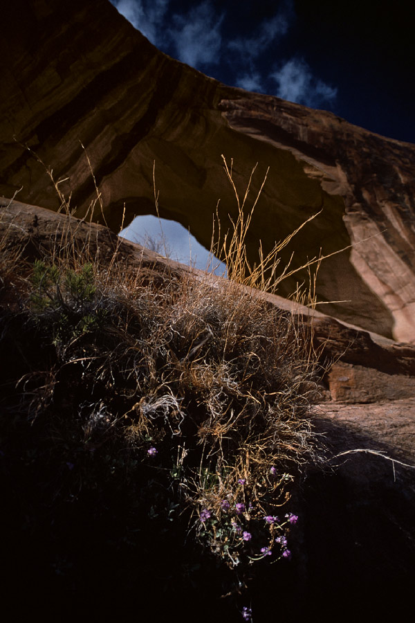 198702404 ©Tim Medley - Bowtie Arch, UT