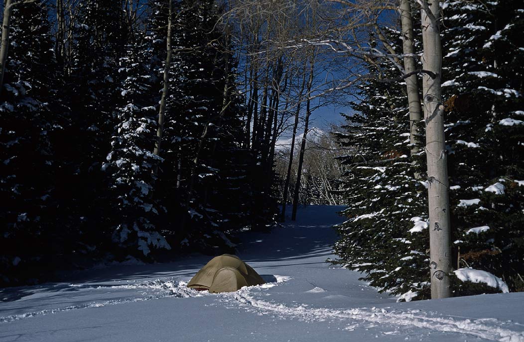 198702433 ©Tim Medley - Camp, Manti-La Sal National Forest, UT