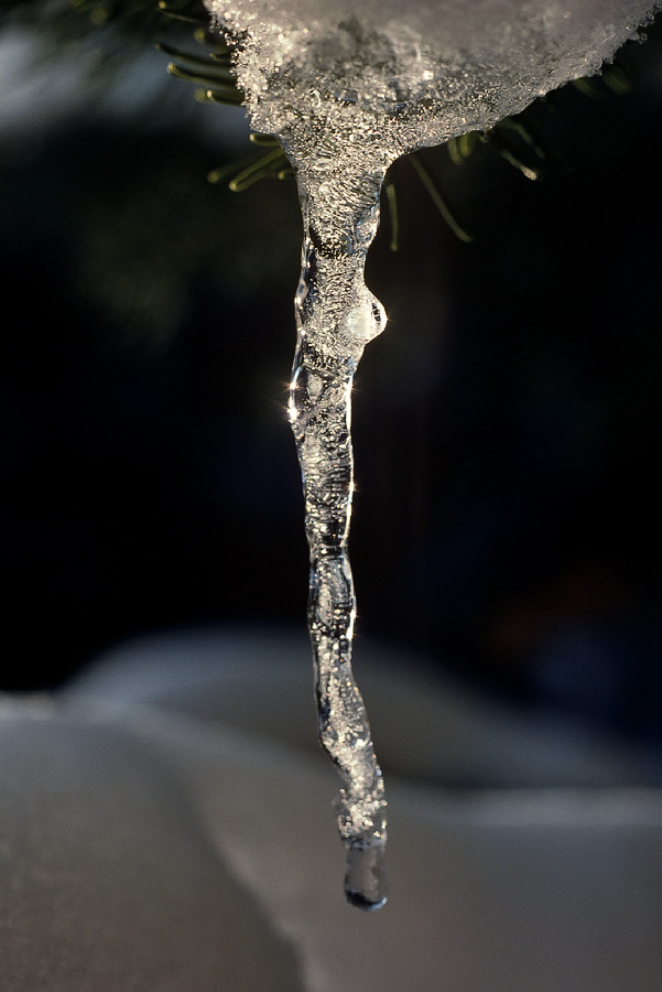 198702503 ©Tim Medley - Icicle, Manti-La Sal National Forest, UT