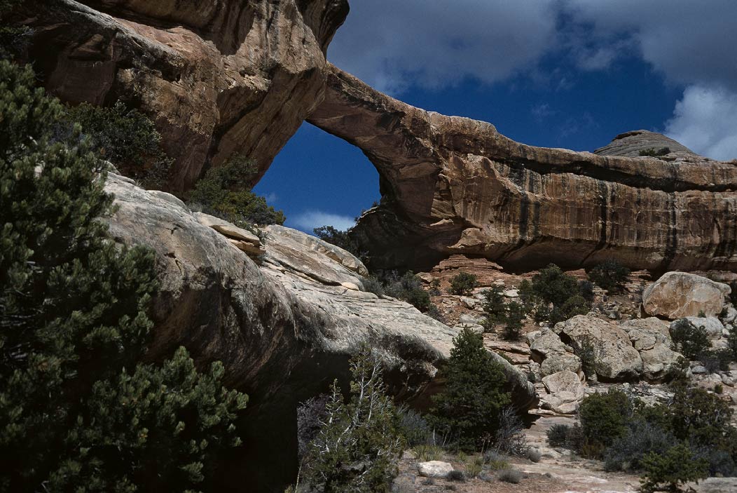 198702626 ©Tim Medley - Owachmo Natural Bridge, Bridges National Monument, UT