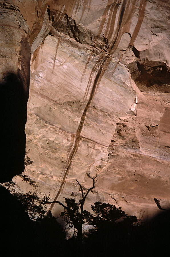 198711019 ©Tim Medley - Neck Springs Trail, Island In the Sky, Canyonlands National Park, UT