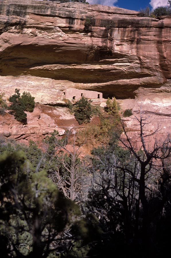 198711322 ©Tim Medley - Cliff Dwelling, CO