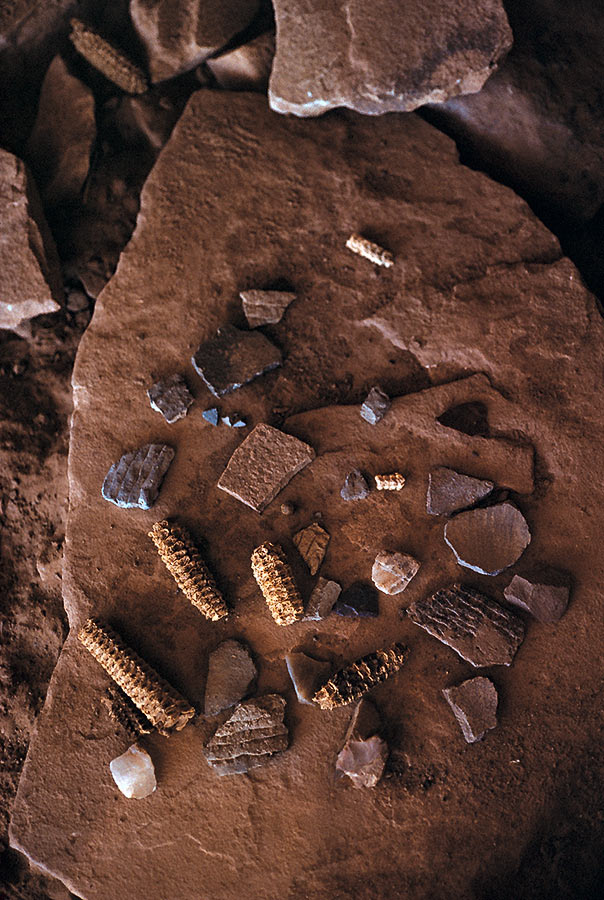 198712223 ©Tim Medley - Cobs and Shards, Cedar Mesa, UT