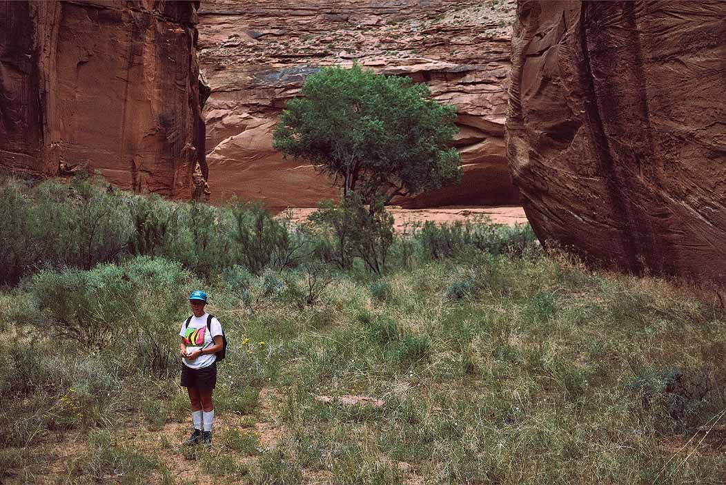 1993UT0206 ©Tim Medley - Cottonwood, Tamarisk, Harts Draw, UT