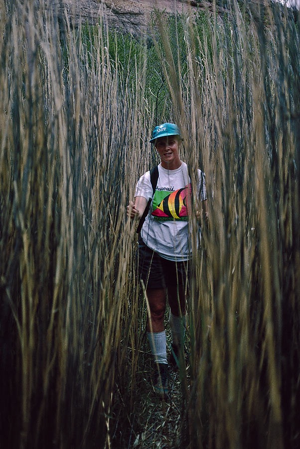 1993UT0209 ©Tim Medley - Tamarisk, Harts Draw, UT