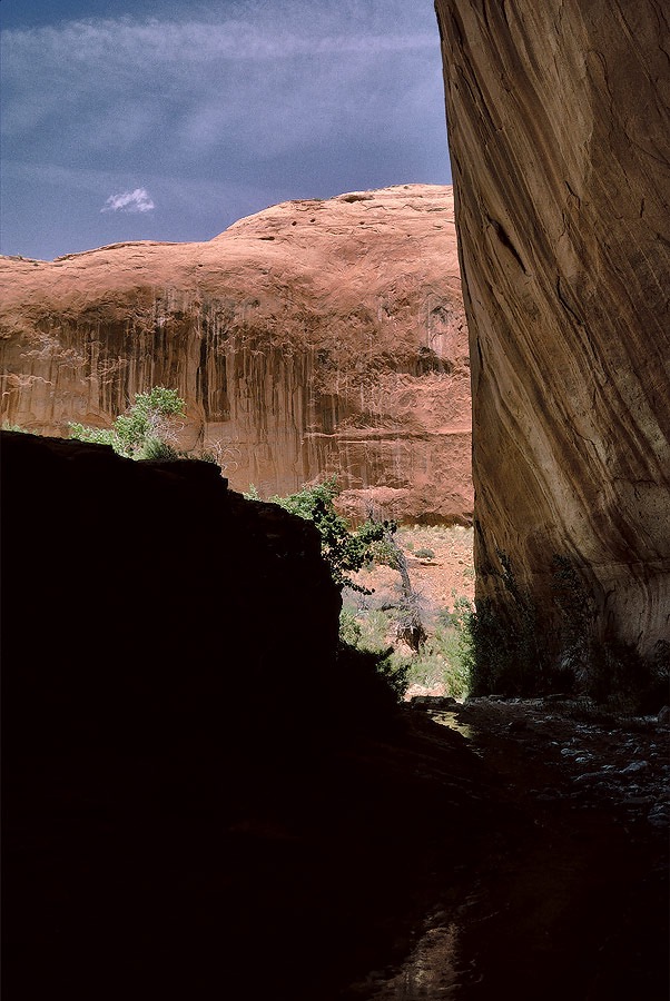 1993UT0222 ©Tim Medley - Dry Fork of Coyote Gulch, UT