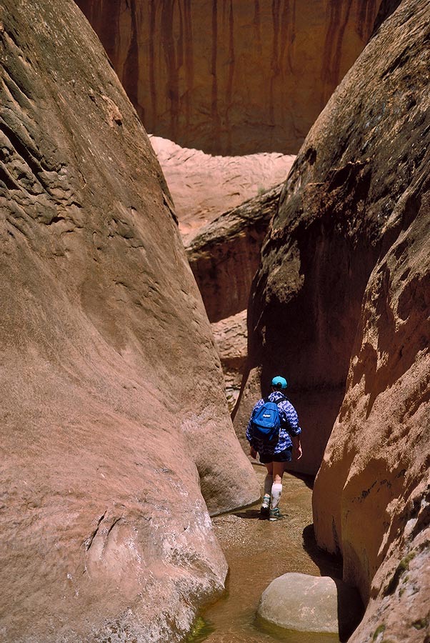 1993UT0231 ©Tim Medley - Dry Fork of Coyote Gulch, UT