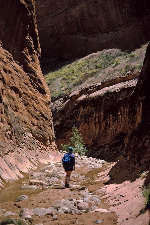 1993UT0226 &copy;Tim Medley - Hole-in-the-Rock Road, Glen Canyon NM, UT