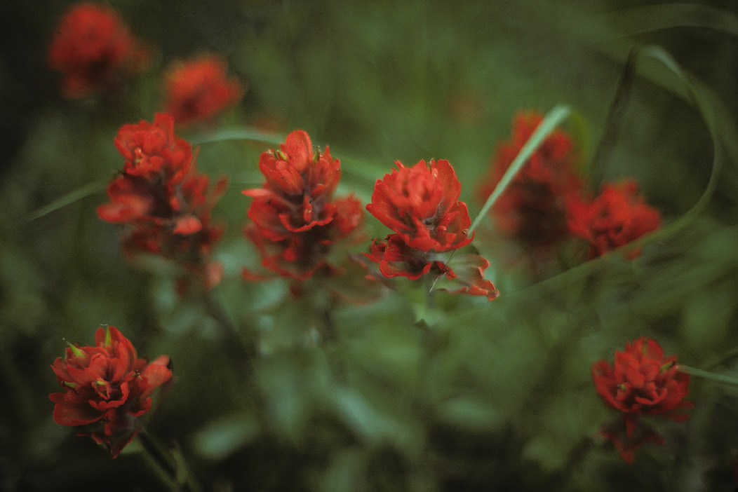 198609CO0306, ©Tim Medley - San Juan Mountains, Colorado