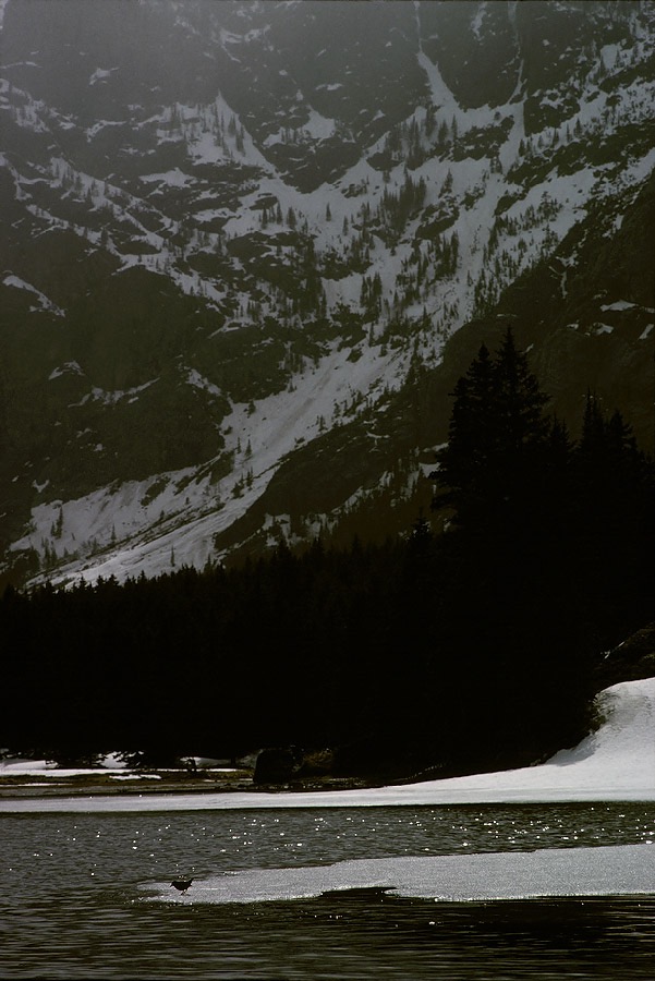 197500821, ©Tim Medley