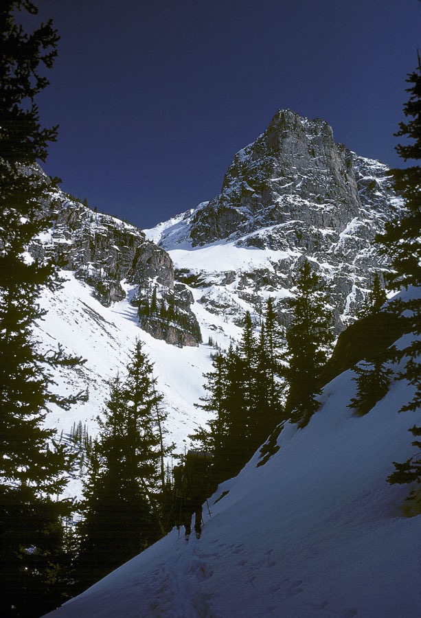 197500907, ©Tim Medley