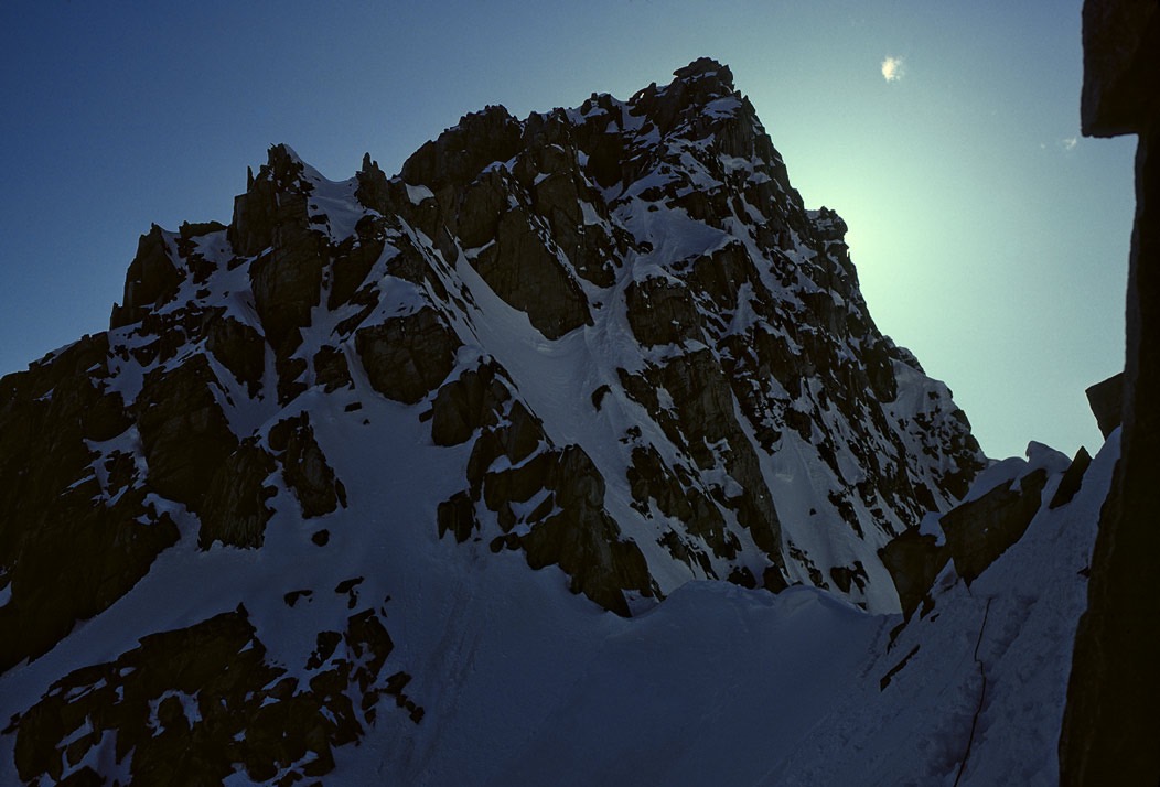 197501006, ©Tim Medley