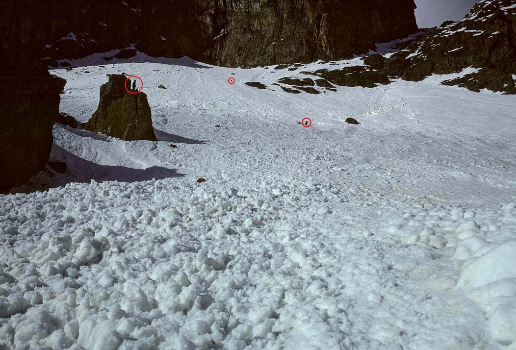 197501027B, ©Tim Medley