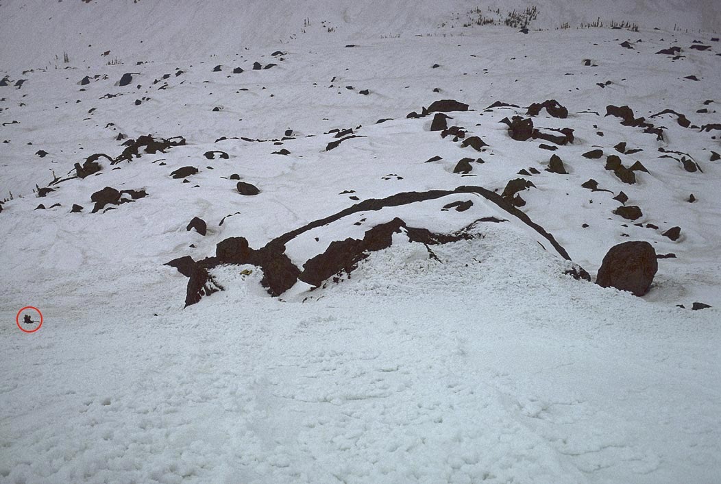 197501028B, ©Tim Medley