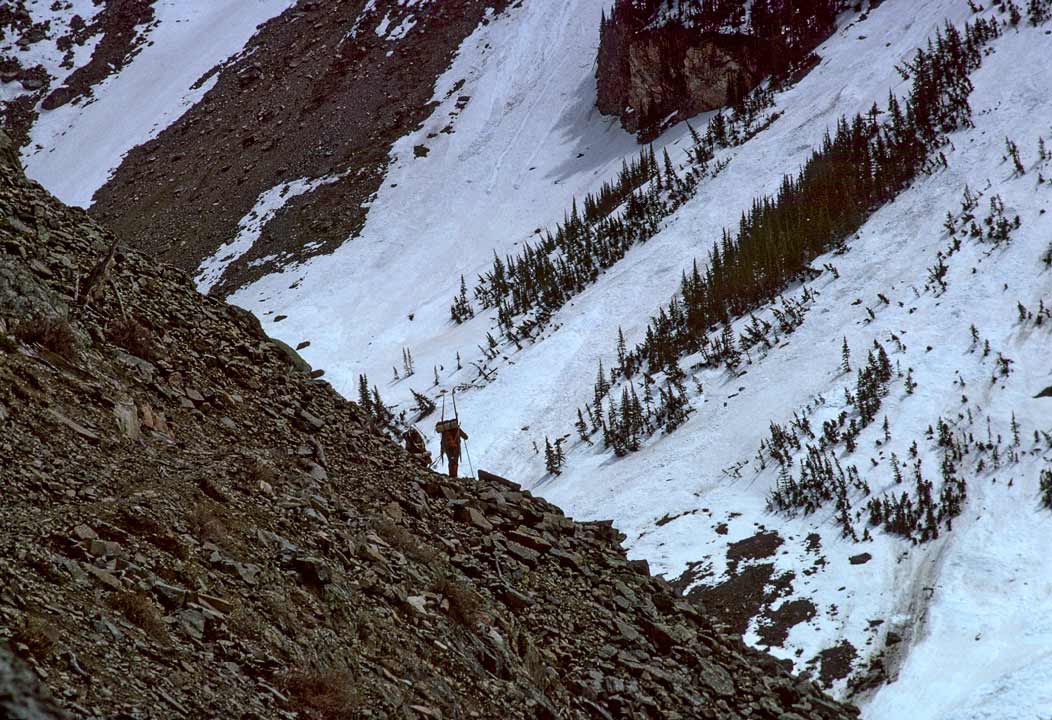 197501036, ©Tim Medley