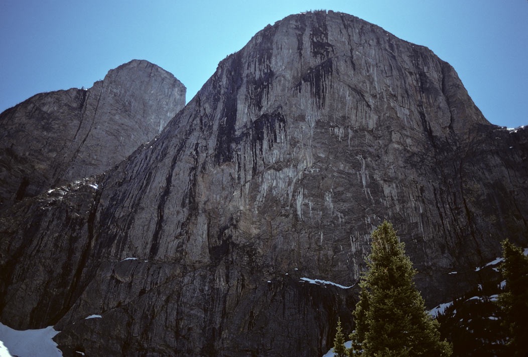 197501128, ©Tim Medley