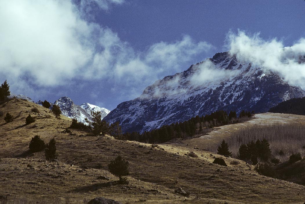 198610MT0816, ©Tim Medley - Paradise Valley, MT