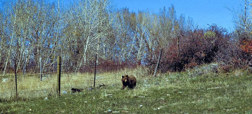 198610MT0824, ©Tim Medley - Paradise Valley, MT