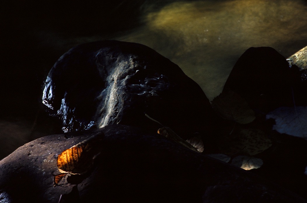 198710312 ©Tim Medley - Glacier National Park, MT