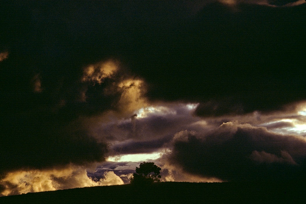 1982C00935, ©Tim Medley