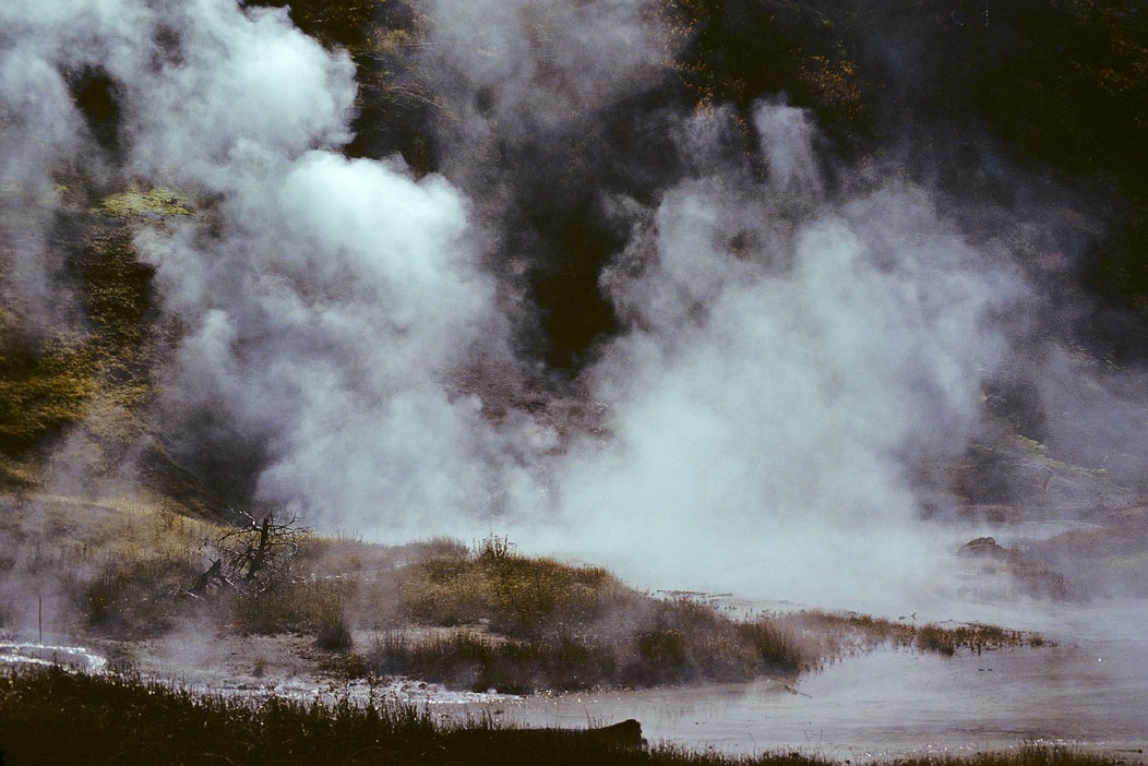 1982C01013, ©Tim Medley