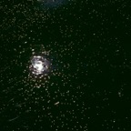 1982C01014