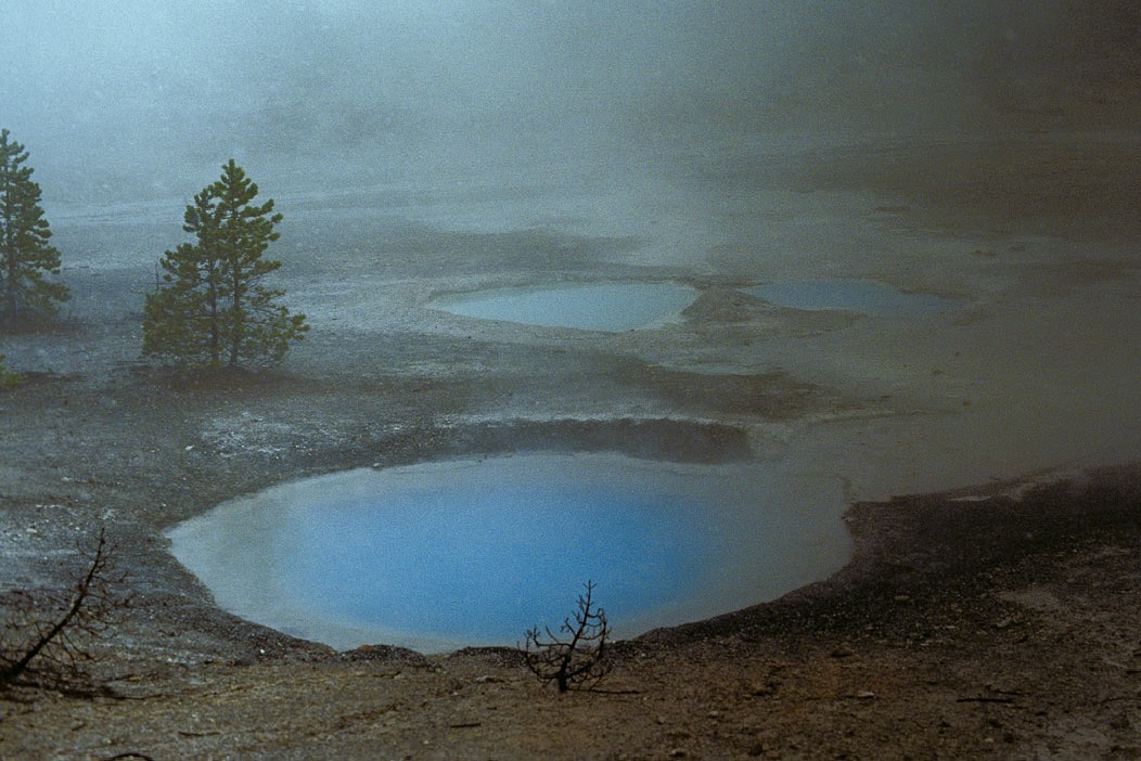 1982C01202, ©Tim Medley