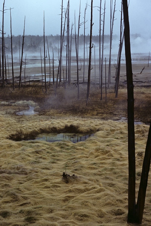 1982C01220, ©Tim Medley