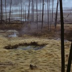 1982C01220