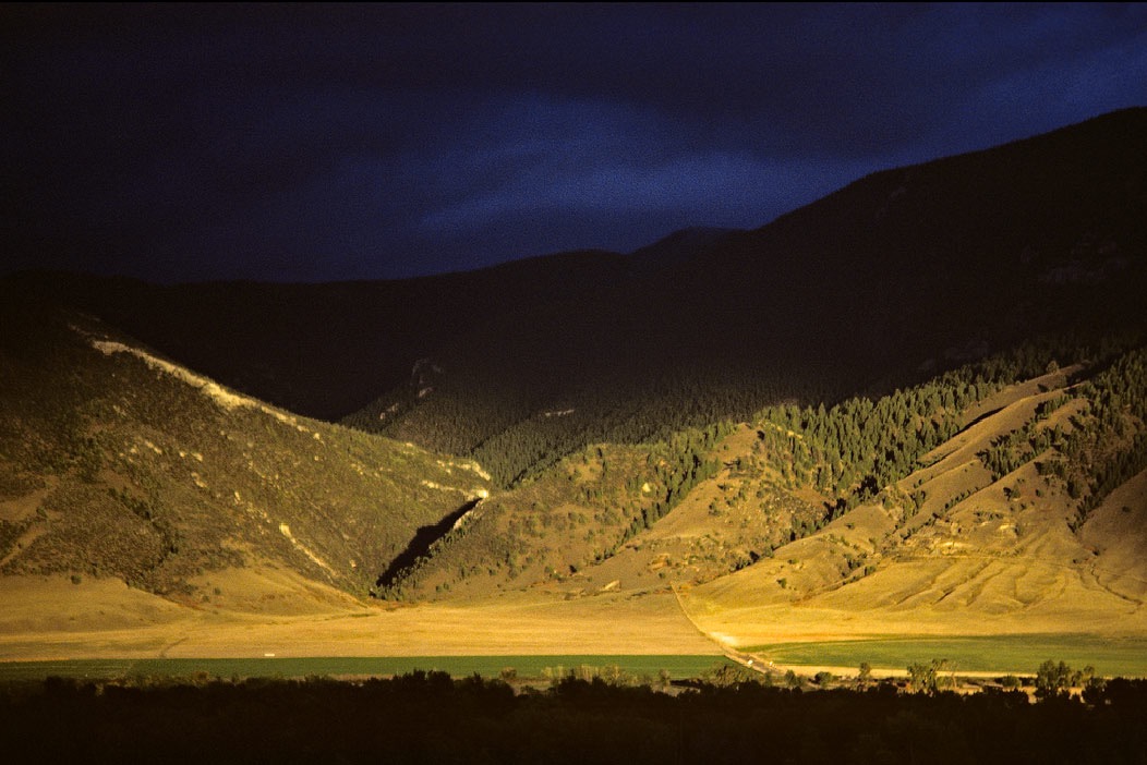1982C01236, ©Tim Medley