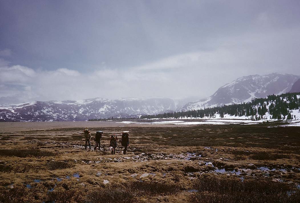 197401233, ©Tim Medley