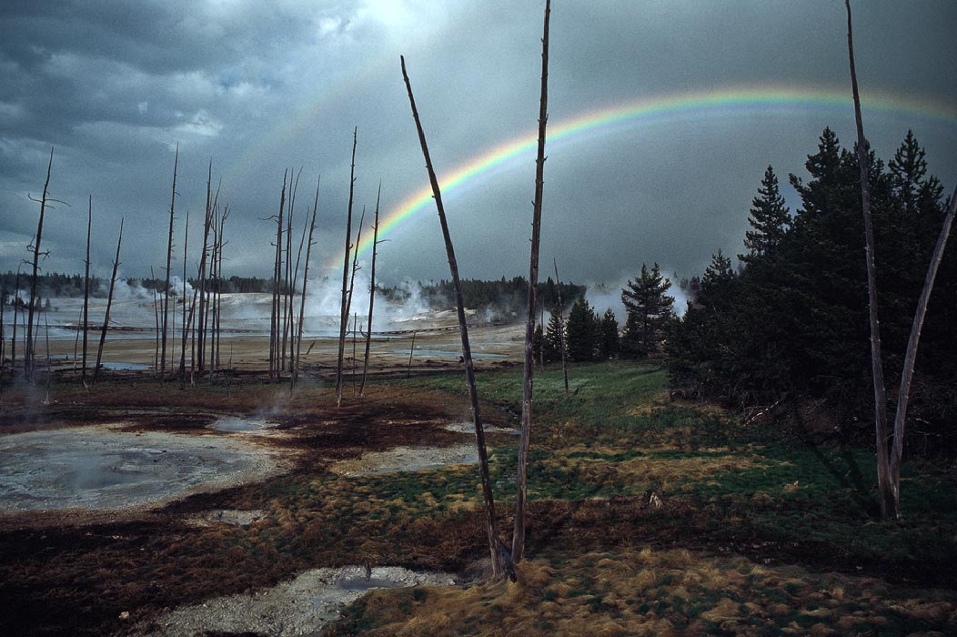 198704418 ©Tim Medley - Norris Geyser Basin, Yellowstone National Park, WY