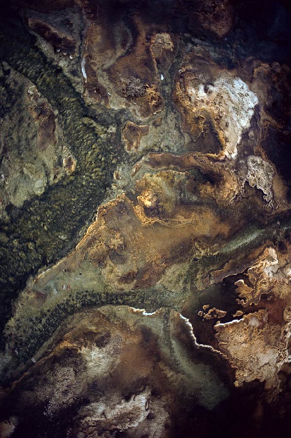 198704615 ©Tim Medley - Travertine, Spring, Yellowstone National Park, WY