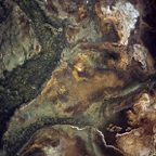 198704615.jpg
