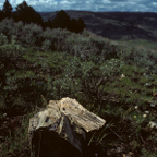 198704730.jpg