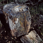 198704733.jpg