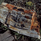 198704802.jpg