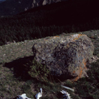 198704901.jpg