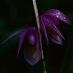 198705222.jpg