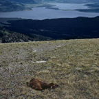 198705234.jpg