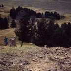 198708026.jpg