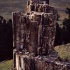198708027.jpg